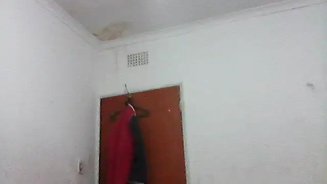 ElonDeking online show from December 1, 2025, 2:29 pm