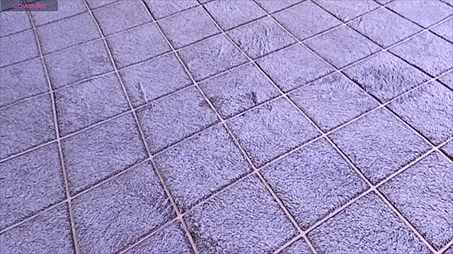 Snapshot of viviann_evans chatting on January 13, 2026, 12:58 am viviann evans online show from January 13, 2026, 12:58 am