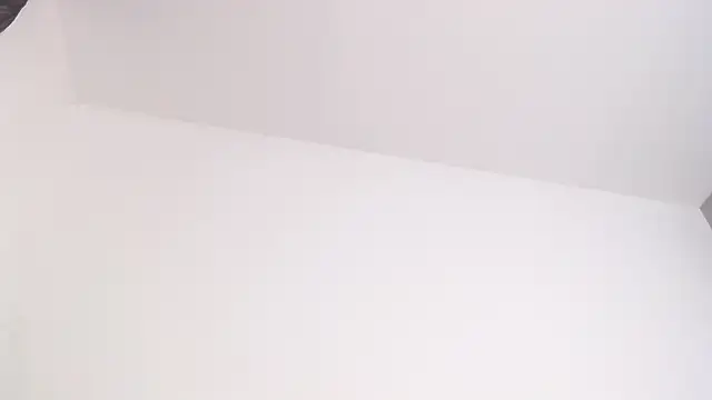 drake brwon 23 online show from January 17, 2026, 11:14 am