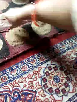 ohana143 online show from March 17, 2025, 12:04 pm