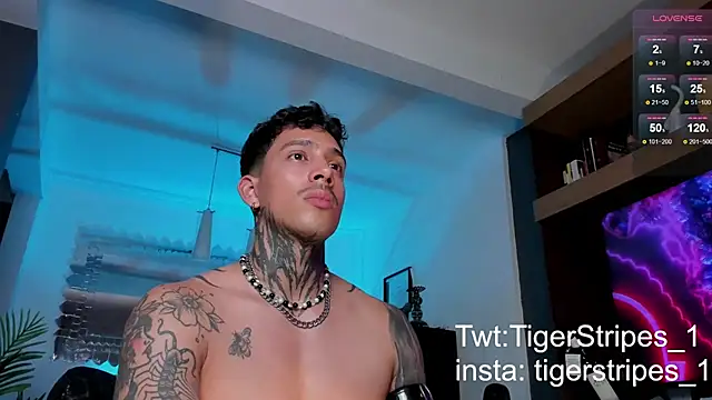 Snapshot of TigerStripes1_ chatting on February 12, 2025, 12:05 am TigerStripes1 online show from February 12, 2025, 12:05 am