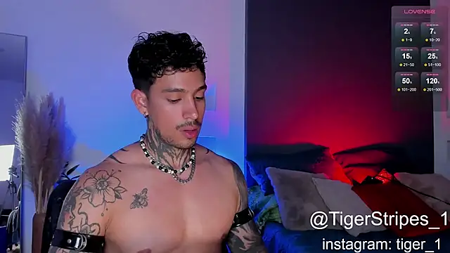 Snapshot of TigerStripes1_ chatting on February 2, 2025, 10:28 pm TigerStripes1 online show from February 2, 2025, 10:28 pm