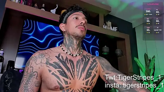 Snapshot of TigerStripes1_ chatting on March 9, 2025, 12:31 am TigerStripes1 online show from March 9, 2025, 12:31 am