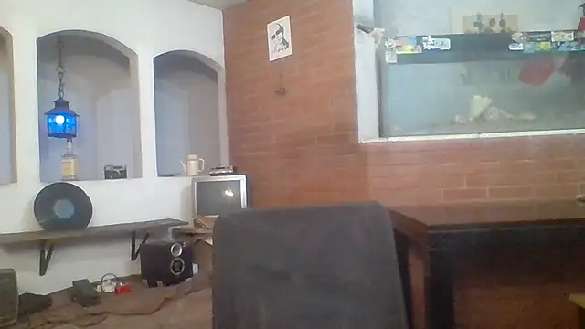 Snapshot of Stevenson988 chatting on June 9, 2026, 10:44 pm Stevenson988 online show from June 9, 2026, 10:44 pm