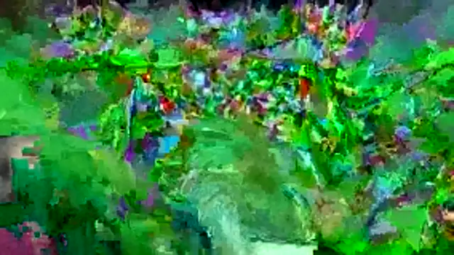 bigdon5169 online show from May 1, 2026, 2:55 pm