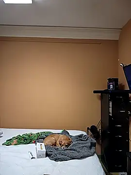 leahcimnikral online show from November 22, 2025, 6:56 am