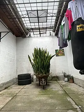 oliver price1 online show from October 29, 2025, 7:35 pm