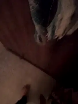 vicky 869 online show from February 14, 2026, 3:07 am